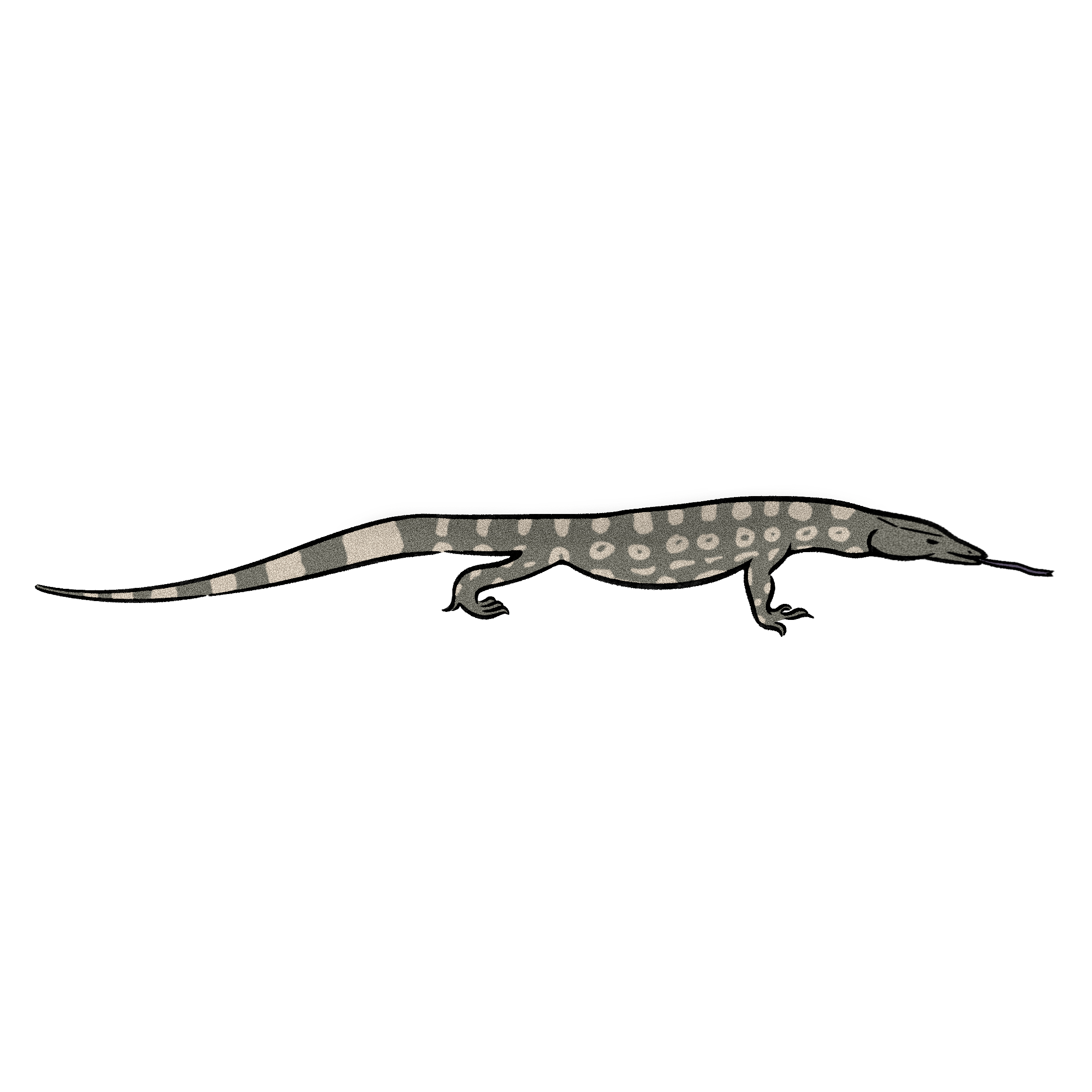 オオトカゲ